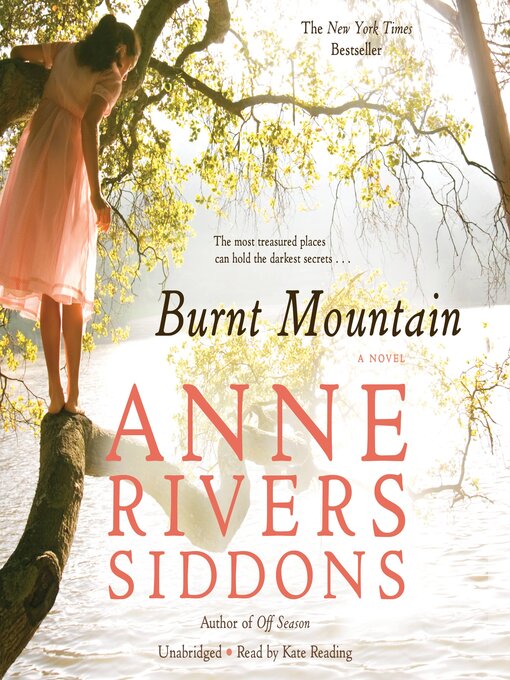Cover image for Burnt Mountain